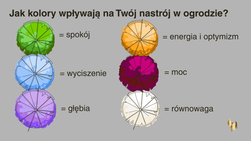 Jak kolory wpływają na emocje w ogrodzie – zieleń uspokaja, błękit wycisza, fiolet dodaje głębi, żółty pobudza, czerwień dodaje energii, a biel wprowadza świeżość i równowagę.